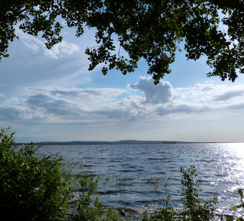Fokus auf Energie & Neuanfang